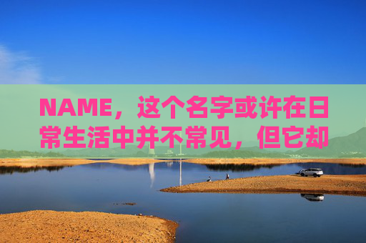 NAME，这个名字或许在日常生活中并不常见，但它却在某些领域里扮演着重要的角色。今天，让我们一起来探索这个名字背后的故事和意义